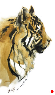 tijger profiel- Anita Gaasbeek